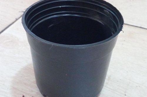 گلدان پلاستیکی بازیافتی