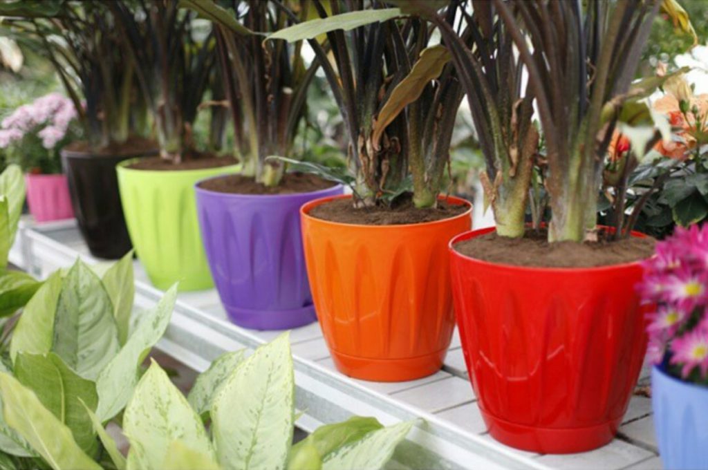 گلدان پلاستیکی پشت پنجره